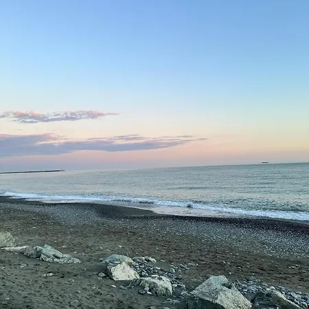 Il Nido Del Gabbiano *