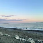 Il Nido Del Gabbiano *