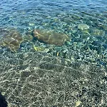 Il Nido Del Gabbiano Genova