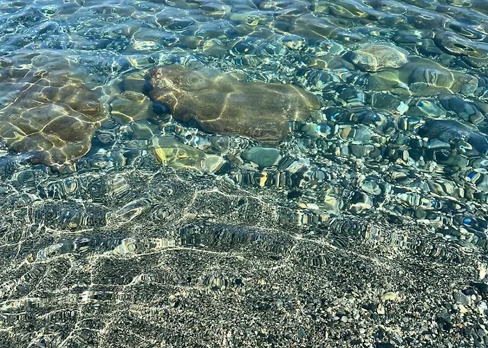 Il Nido Del Gabbiano Genoa